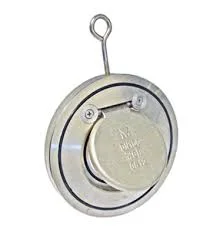 httpsvalve.vntin-tucvan-thoat-nuoc-mot-chieu.html (2)