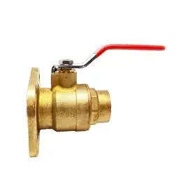 isolation valve flange (2)