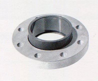 kham-pha-ve-bich-long-hdpe (3)