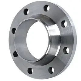 loose flange (2)