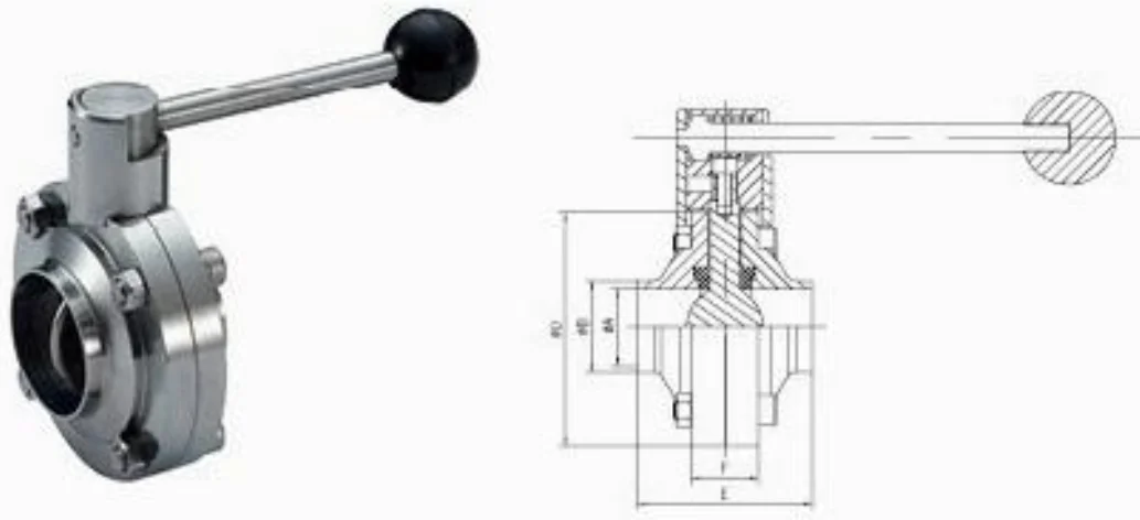Sanitary-butterfly-valve-1-picture