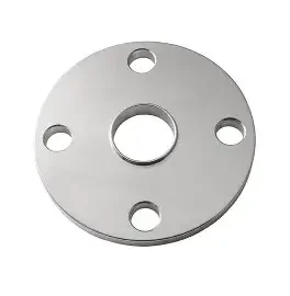 sanitary flanges (1)