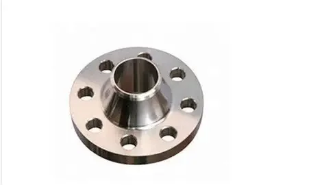 sanitary flanges (3)