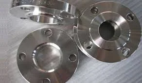ss316l-flange (1)