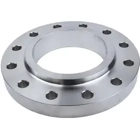 stainless flange (3)