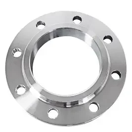 stainless flanges (1)