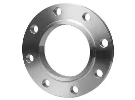 stainless flanges (3)