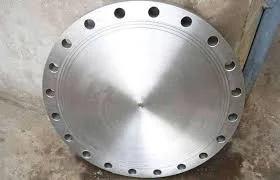stainless-steel-blind-flange (2)