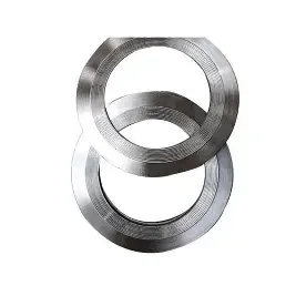 stainless steel flange gasket (2)