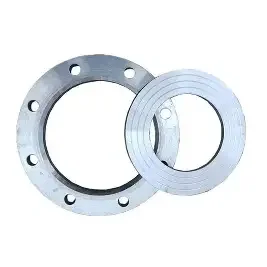 stainless steel flange gasket (3)