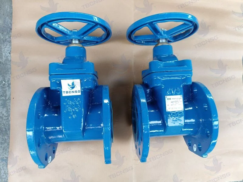 van-cong-kvs (2)