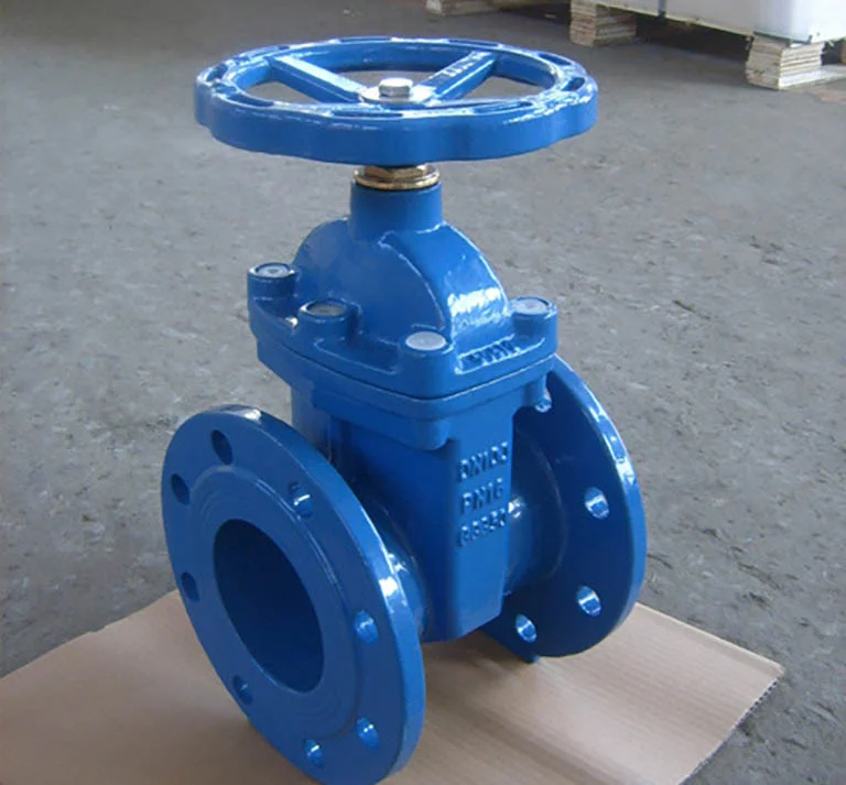 van-cong-ty-chim-dn100 (2)