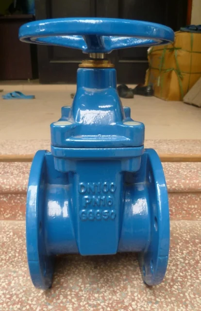 van-cong-ty-chim-dn100 (3)