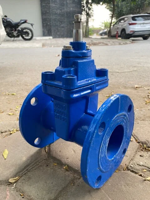 van cửa mặt bích (1)