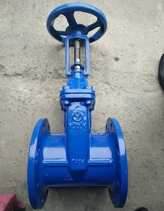 van cửa mặt bích (2)