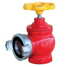 van góc chữa cháy dn50