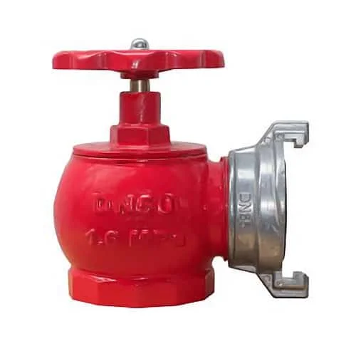 van góc chữa cháy dn65