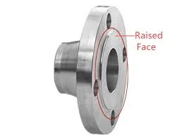 weld-neck-raised-face-flange (1)