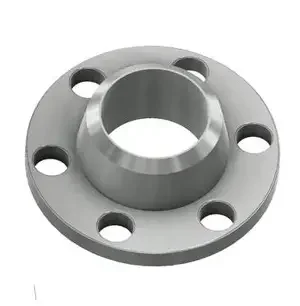 weldneck flange (2)