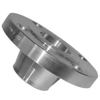 weldneck flange (3)